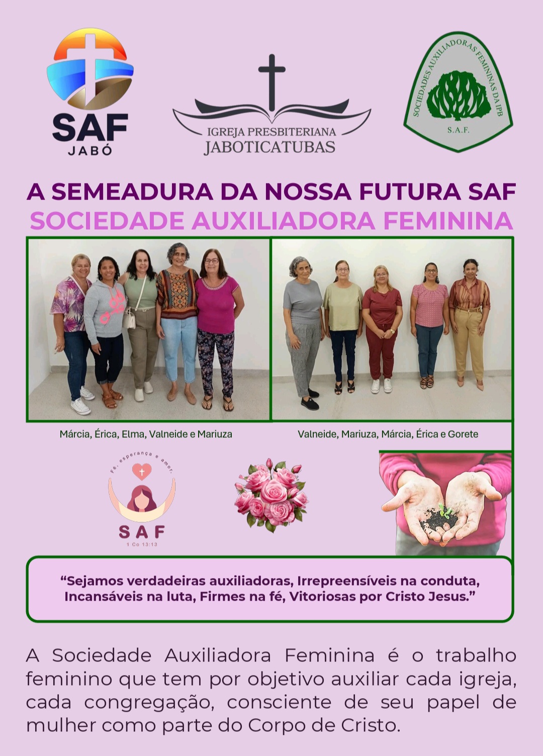 SEMEADURA DA SAF JABÓ